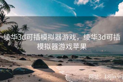 绫华3d可插模拟器游戏，绫华3d可插模拟器游戏苹果