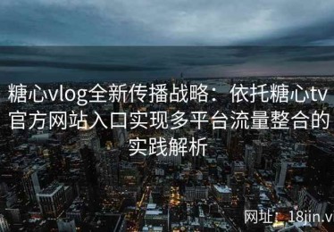 糖心vlog全新传播战略：依托糖心tv官方网站入口实现多平台流量整合的实践解析