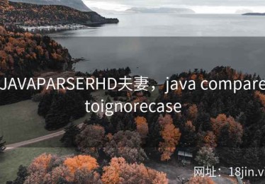 JAVAPARSERHD夫妻，java comparetoignorecase