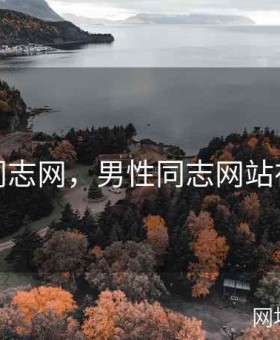 男性同志网，男性同志网站在线看