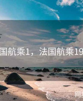 法国航乘1，法国航乘1999