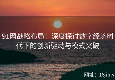 91网战略布局：深度探讨数字经济时代下的创新驱动与模式突破