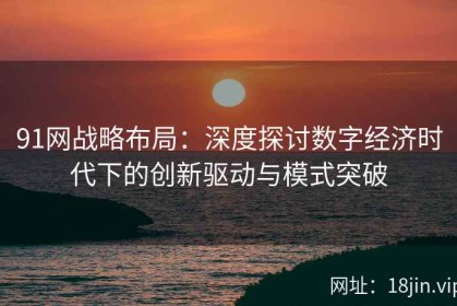 91网战略布局：深度探讨数字经济时代下的创新驱动与模式突破