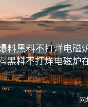 反差婊爆料黑料不打烊电磁炉，反差婊爆料黑料不打烊电磁炉在线看