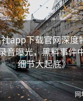 《黑料社app下载官网深度特写：名流内部录音曝光，黑料事件中的交易细节大起底》