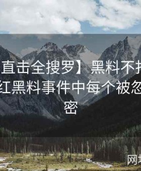 【内幕直击全搜罗】黑料不打：独家还原网红黑料事件中每个被忽略的秘密