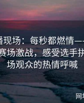 大赛直播现场：每秒都燃情——实时直播记录赛场激战，感受选手拼搏与现场观众的热情呼喊