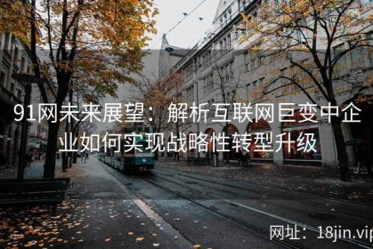 91网未来展望：解析互联网巨变中企业如何实现战略性转型升级