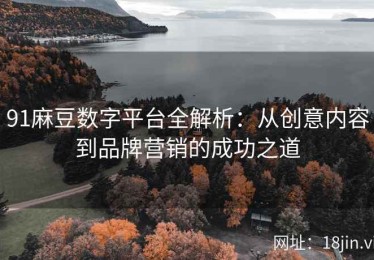 91麻豆数字平台全解析：从创意内容到品牌营销的成功之道