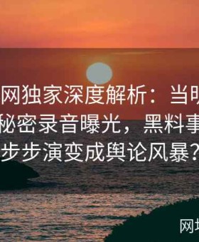 《黑料网独家深度解析：当明星背后隐藏的秘密录音曝光，黑料事件如何一步步演变成舆论风暴？》