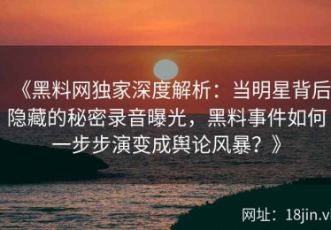 《黑料网独家深度解析：当明星背后隐藏的秘密录音曝光，黑料事件如何一步步演变成舆论风暴？》