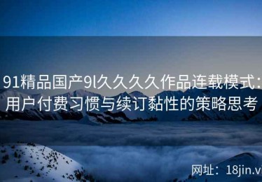 91精品国产9l久久久久作品连载模式：用户付费习惯与续订黏性的策略思考