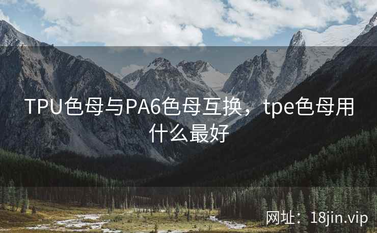 TPU色母与PA6色母互换，tpe色母用什么最好