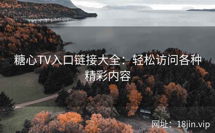 糖心TV入口链接大全：轻松访问各种精彩内容