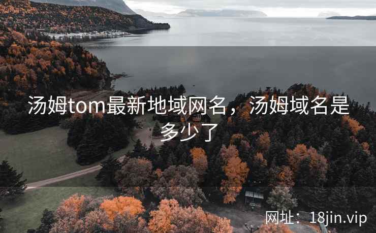 汤姆tom最新地域网名，汤姆域名是多少了