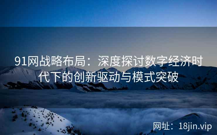 91网战略布局：深度探讨数字经济时代下的创新驱动与模式突破