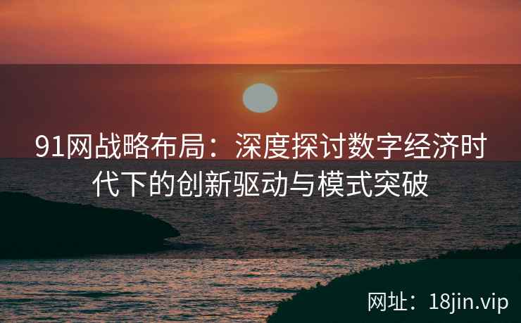 91网战略布局：深度探讨数字经济时代下的创新驱动与模式突破